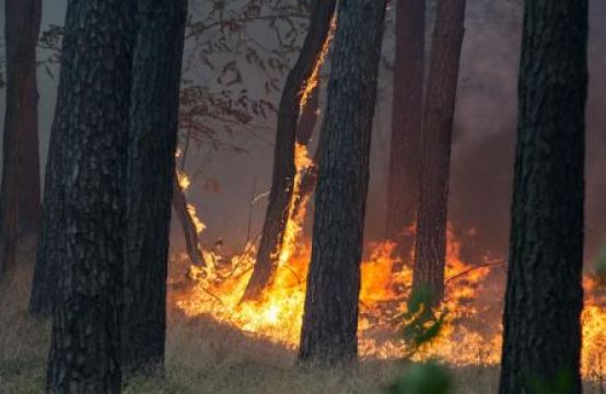Cháy rừng trên diện rộng gần Potsdam